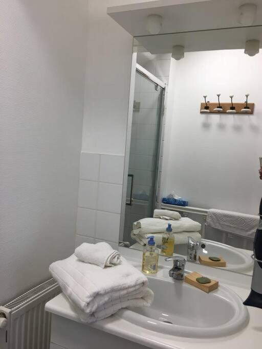 Bel Appartement Climatise Plein Centre Ville Poitiers Buitenkant foto